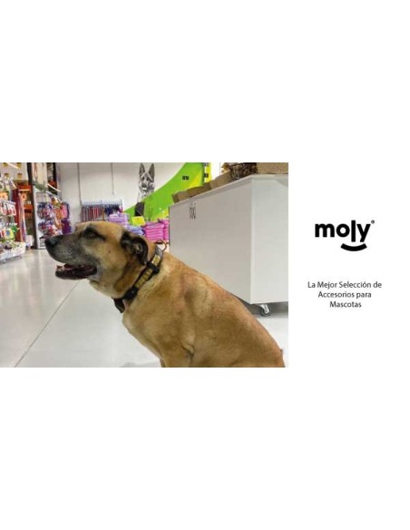 COLLAR LUXURY REFLECTANTE 57 CM - 