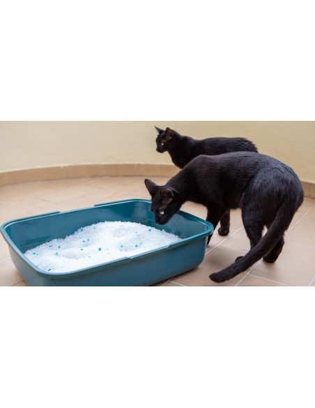 ARENA GATOS PERLAS DE SILICE MOLY PREMIUM 17.9 L 7,5 KG - 