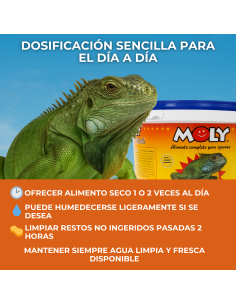 MOLY IGUANAS  3kg PROFESIONAL 2