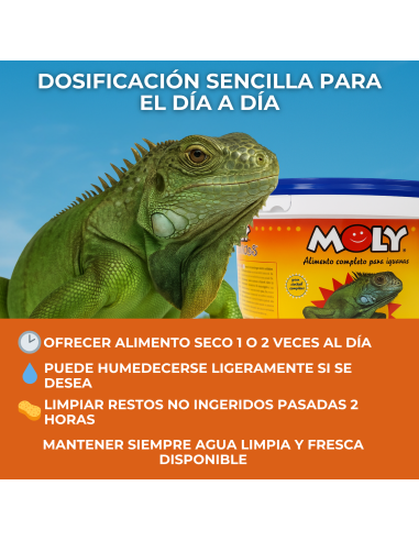 MOLY IGUANAS  3kg PROFESIONAL 8,8 L - 