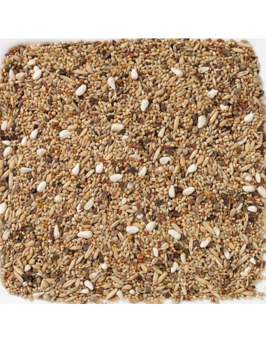 GRANDES PERIQUITOS SIN GIRASOLES 20 KG-CACATUAS - 