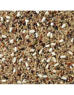 AGAPORNIS CHAMPION 20 KG -  2