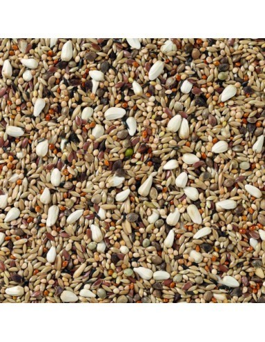 AGAPORNIS CHAMPION 20 KG - 