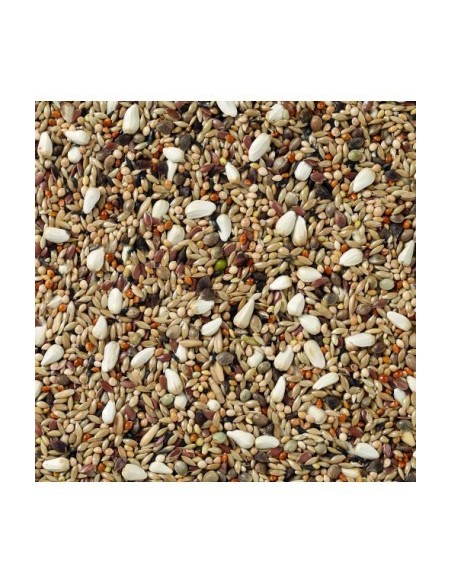 AGAPORNIS CHAMPION 20 KG - 