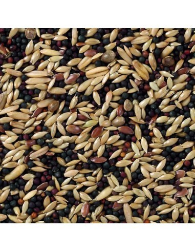 CANARIOS BASE DELI NATURE 20 KG - 