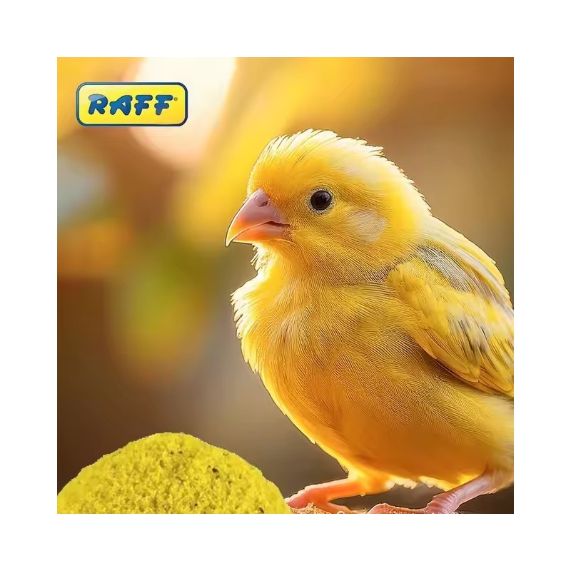 RAFF HOLAND COVA 300 G 20 UNIDADES - 