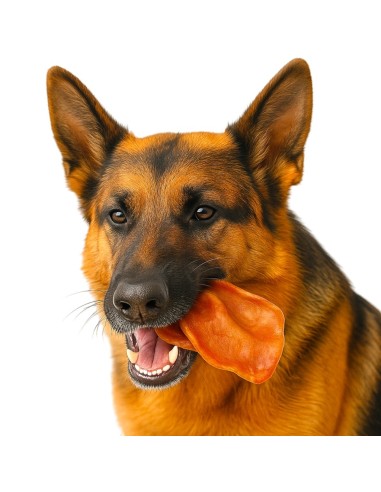 EXPOSITOR OREJA DE CERDO SECA 30 UNID - 