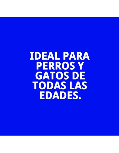 Comedero Doble 16.5 cm con Soporte para Mascotas