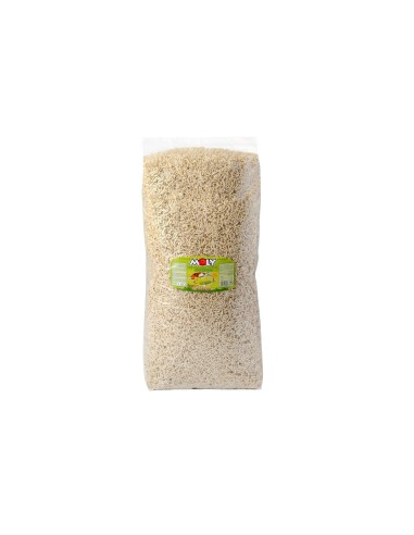 Moly Estanque Sticks 4 kg: Alimento Profesional para Peces