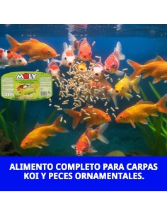 Moly Estanque Sticks 4 kg: Alimento Profesional para Peces 2