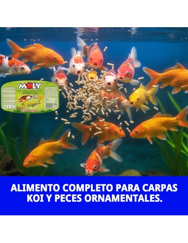 Moly Estanque Sticks 4 kg: Alimento Profesional para Peces