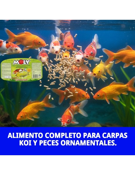 Moly Estanque Sticks 4 kg: Alimento Profesional para Peces