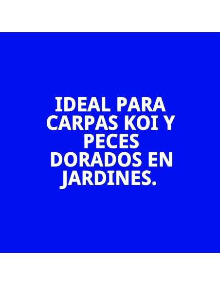 Moly Estanque Sticks 4 kg: Alimento Profesional para Peces