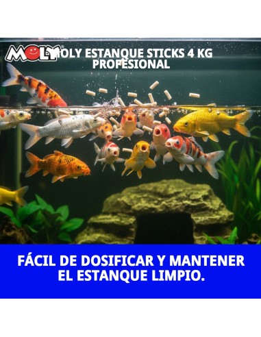 Moly Estanque Sticks 4 kg: Alimento Profesional para Peces