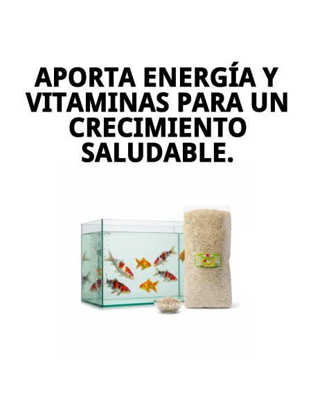 Moly Estanque Sticks 4 kg: Alimento Profesional para Peces