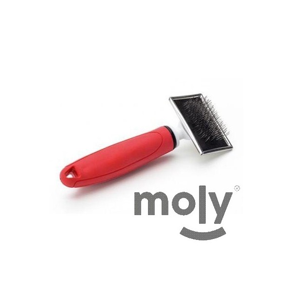 CARDA METALICA PEQUEÑA MOLY CONFORT