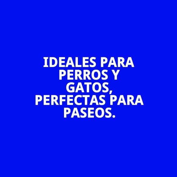 Bolsitas Compostables 100% | Pack 4 Rollos Ecológicos