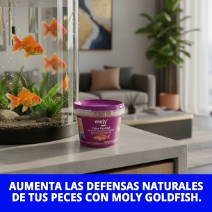 Moly Goldfish 20g: Alimento Premium para Peces de Acuario 2