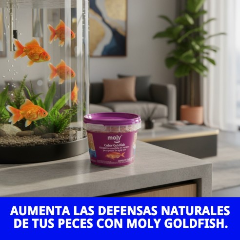 Moly Goldfish 20g: Alimento Premium para Peces de Acuario