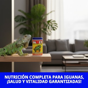 MOLY IGUANAS: Alimento Completo 100g para Iguanas 2