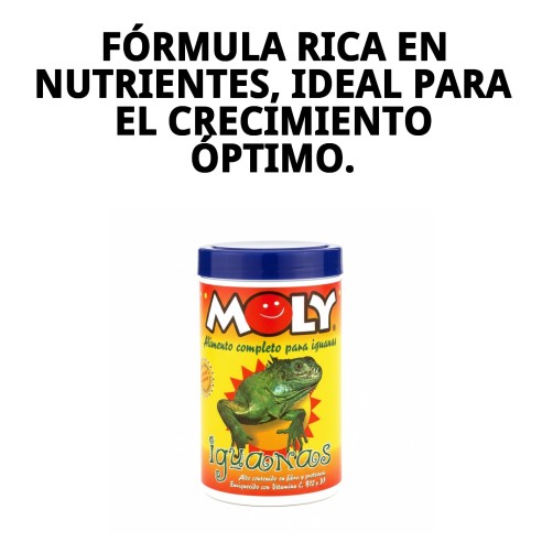 MOLY IGUANAS: Alimento Completo 100g para Iguanas