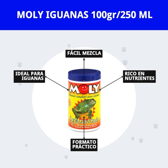 MOLY IGUANAS: Alimento Completo 100g para Iguanas