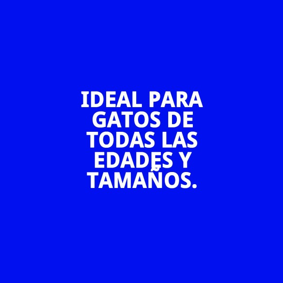 Masajeador para Gatos: Relajación y Bienestar Felino