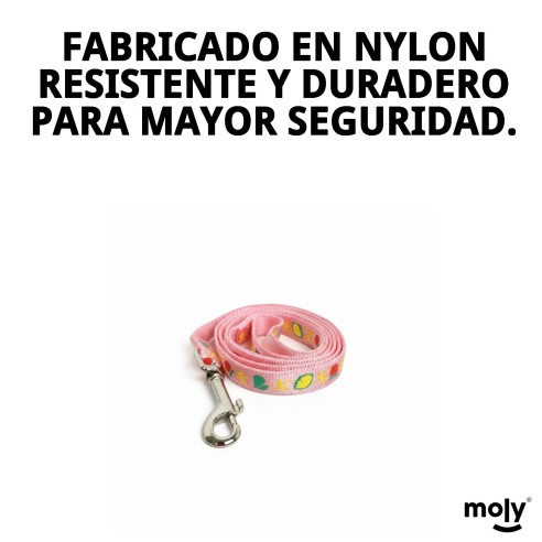 Ramal Nylon Flower 120x1.5cm: Estilo y Comodidad para tu Mascota