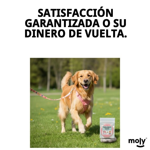 Ramal Nylon Flower 120x1.5cm: Estilo y Comodidad para tu Mascota