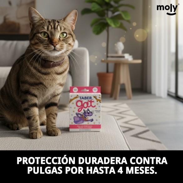 Collar Insecticida Tabergat - Fabricante y Proveedor | Moly