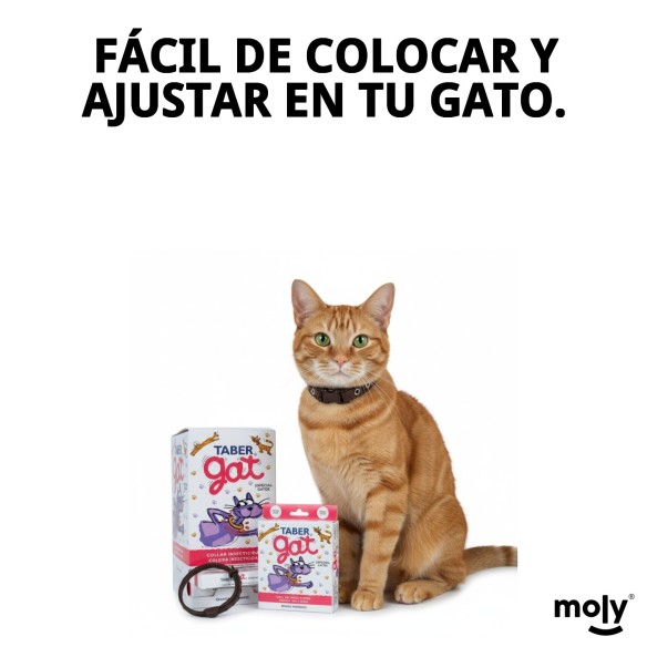 Collar Insecticida Tabergat - Fabricante y Proveedor | Moly