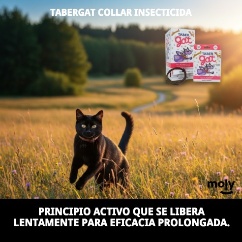 Collar Insecticida Tabergat - Fabricante y Proveedor | Moly