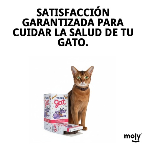 Collar Insecticida Tabergat - Fabricante y Proveedor | Moly