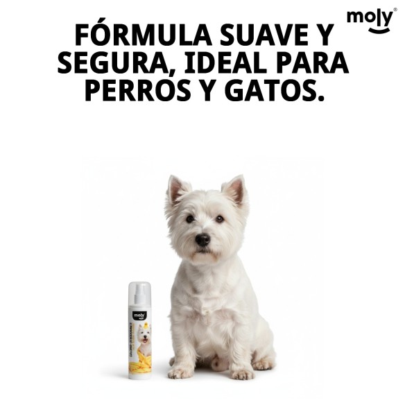 Colonia Desodorante para Perros 200ml - Frescura y Limpieza