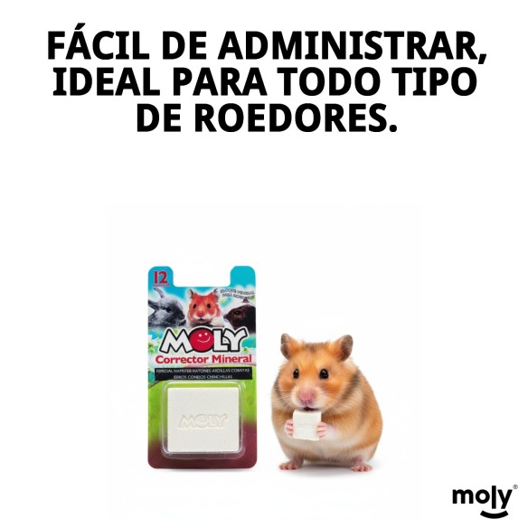 Moly Calcio para Roedores 100g - Suplemento Esencial
