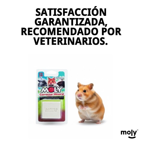 Moly Calcio para Roedores 100g - Suplemento Esencial