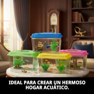 Pecera Plástico Grande 30x20x21 cm para Tu Mascota 2