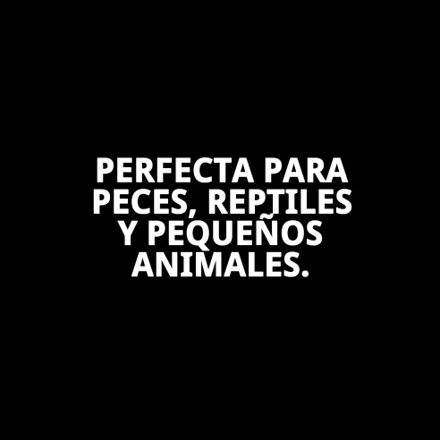 Pecera Plástico Grande 30x20x21 cm para Tu Mascota