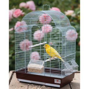 Mijo Blanco Deli Nature 20 kg – Grano Natural Premium | Ideal para Aves, Loros, Canarios, Periquitos, Palomas y Aves Silvestres 2