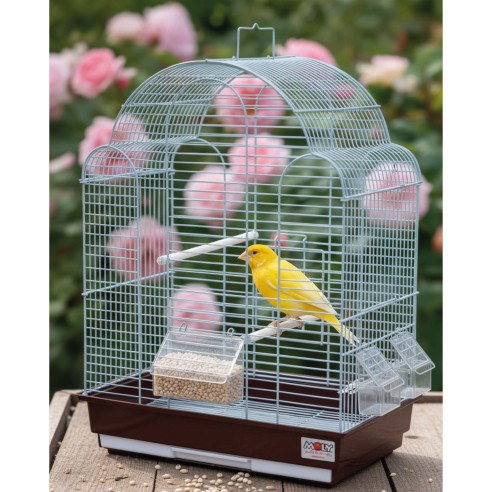 Mijo Blanco Deli Nature 20 kg – Grano Natural Premium | Ideal para Aves, Loros, Canarios, Periquitos, Palomas y Aves Silvestres