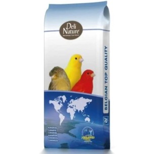 Alpiste Extra Beyers 20 kg | Semilla Premium Natural para Aves | Alta Energía | Ideal para Canarios, Jilgueros, Periquitos