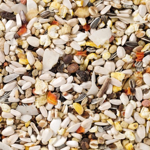 Loros Suprem Fruits Deli Nature 15 kg - Nutrición Premium