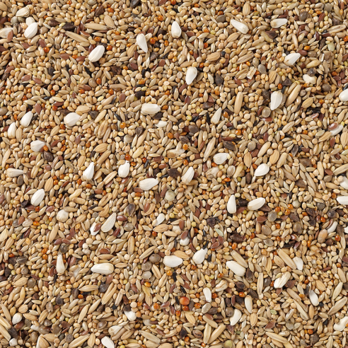 Grandes Perruches Sans Tournesols Deli Nature 20 kg Mezcla premium sin girasol para cotorras y periquitos grandes