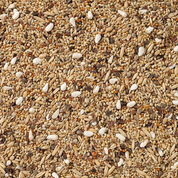 Grandes Perruches Sans Tournesols Deli Nature 20 kg Mezcla premium sin girasol para cotorras y periquitos grandes