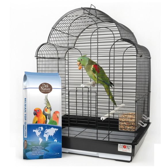Grandes Perruches Sans Tournesols Deli Nature 20 kg Mezcla premium sin girasol para cotorras y periquitos grandes