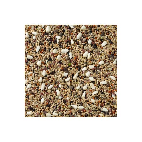 Agapornis Champion Deli Nature 20 kg