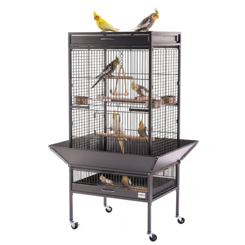 Agapornis Champion Deli Nature 20 kg