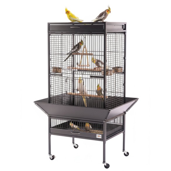 Agapornis Champion Deli Nature 20 kg