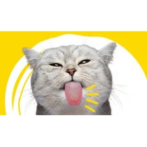 ADTAB OTC GATO 48 MG 2-8 KG 2