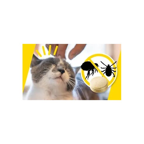 ADTAB OTC GATO 48 MG 2-8 KG